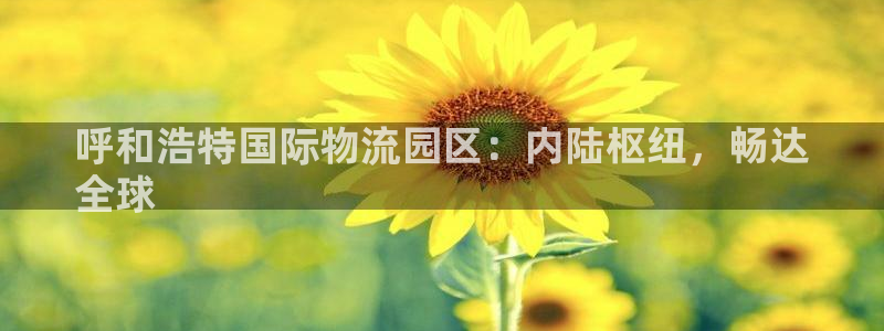 欢迎来到公海!欢迎来到赌船
