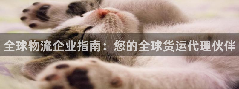 公海赌船网址