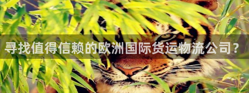 欢迎来到公海欢迎来到赌船