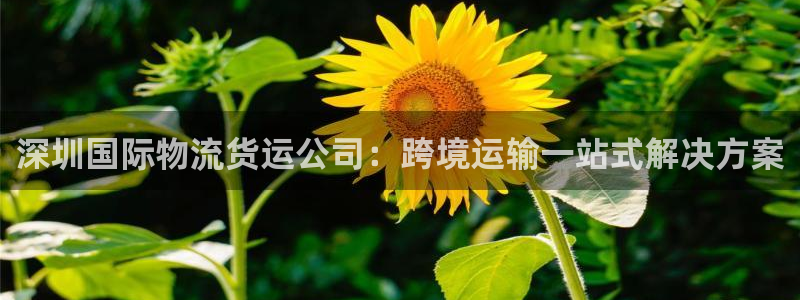 公海赌赌船官网jc710公海